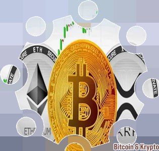 Bitcoin arten
