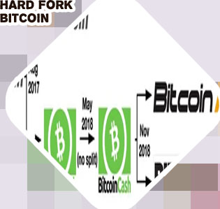 Bitcoin forks november
