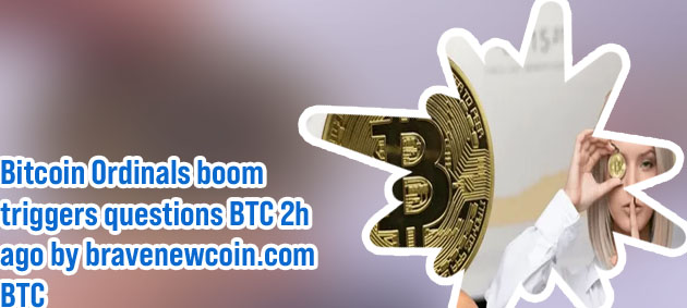 Bitcoin preis