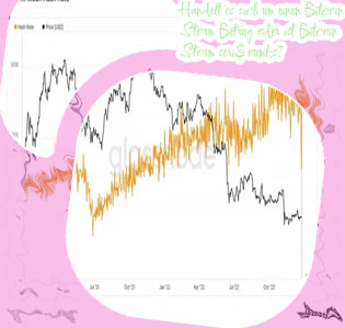 Bitcoin storm fake