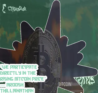 Bitcoin worth over time