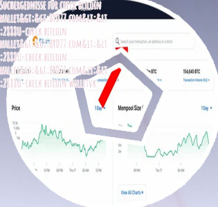 See bitcoin wallet balance